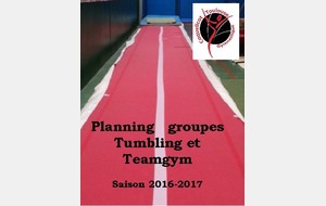 Planning groupes Tumbling et Teamgym 2016-2017
