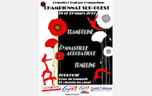 Bilan de la finale de Zone Trampoline, Tumbling et Gymnastique ACrobatique  - 18 et 19 mars 2017 - Cosec de Rangueil