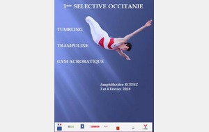 TSA : Bilan 1ère sélective  fédérale Tumbling et Gymnastique Acrobatique et nationale  trampoline - Rodez - 3 et 4 février 2018