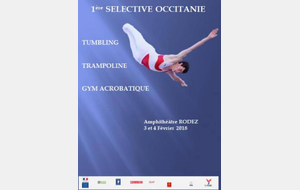 TSA : Bilan 1ère sélective fédérale Tumbling et Gymnastique Acrobatique et nationale trampoline - Rodez - 3 et 4 février 2018
