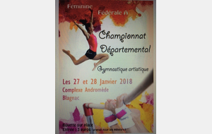 GAF: Bilan Championnat départemental Equipe Fédéral A - Blagnac - 27 et 28 janvier 2018