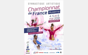 GAM: Bilan Championnat de France individuel performance GAM - Auxerre - 5 et 6 mai 2018