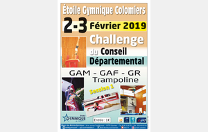Bilan du Challenge départemental GAF - Colomiers - 2 et 3 février 2019