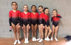 Bilan Trampoline de la 1ère sélective régionale TSA - Castres - 2 et 3 février 2019