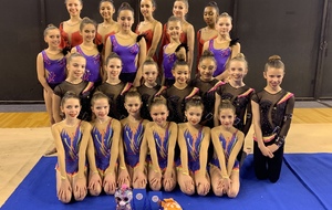 GR : Bilan Championnat Inter départemental des Ensembles - Rodez - 16 et 17 mars 2019