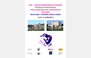 GAF : Bilan de la  Finale régionale FED A individuelles - Beaucaire - 14 avril 2019