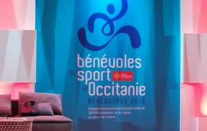 Démonstration gymnique aux 1ères rencontres des bénévoles du sport en Occitanie - Ernest Wallon Toulouse  - 26 octobre 2019