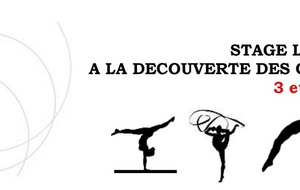 Stage loisir  Découverte des gymnastiques  - 3 et 4 janvier 2019 - Cosec de Rangueil