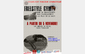 Ouverture d'un groupe FREESTYLE GYM  à Croix-Daurade !