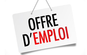 Offre d'emploi Entraîneur Gymnastique Rythmique