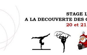 Ouverture des Inscriptions au Stage loisir multigym de Noël : 20 et 21 décembre 2021 - Cosec de Rangueil