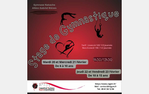 Stage de Gymnastique loisirs