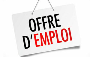 Offre d'emploi Entraîneur Gymnastique Rythmique