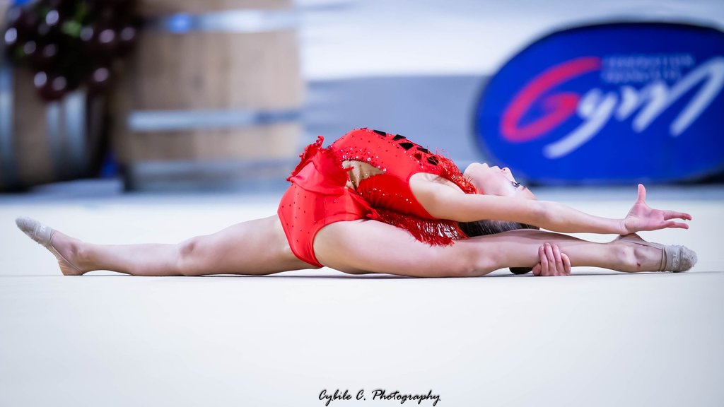 Sacs - Gymnastique Artistique - Eurogym International