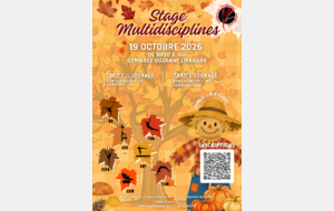 stage multidiscipline - AUTOMNE
