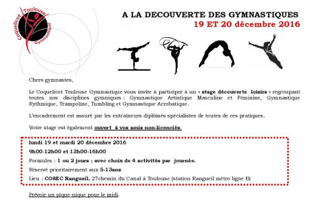 Stage loisirs &quot;Découverte des gymnastiques&quot; 19 et 20 décembre 2016 - Cosec Rangueil