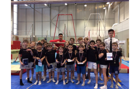 GAM GAF: Compte rendu Challenge 31 - Blagnac - 28 et 29 janvier 2017