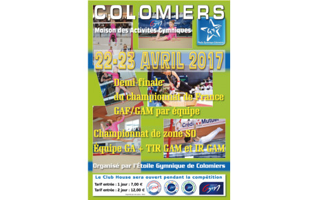 GAM : Bilan Championnat de Zone par Equipe - 22 et 23 avril 2017 - Colomiers