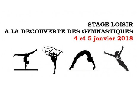 Stage loisir &quot;Découverte des gymnastiques&quot; - 4 et 5 janvier 2018 - Cosec de Rangueil