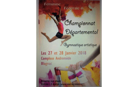 GAF: Bilan Championnat départemental Equipe Fédéral A - Blagnac - 27 et 28 janvier 2018