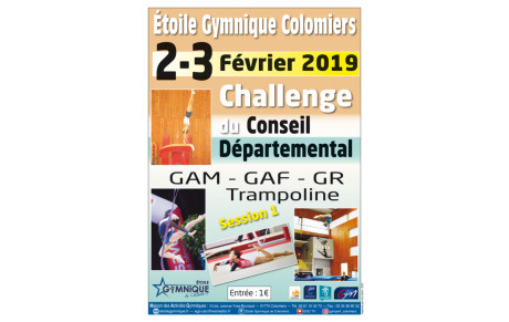 Bilan du Challenge départemental GAF - Colomiers - 2 et 3 février 2019