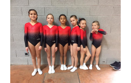 Bilan Trampoline de la 1ère sélective régionale TSA - Castres - 2 et 3 février 2019