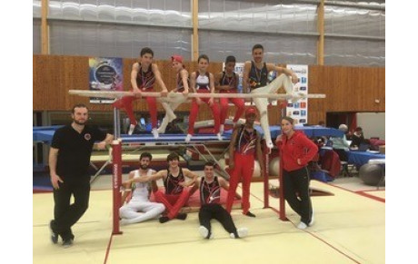 GAM: Bilan championnat départemental individuels - Colomiers - 10 février 2019