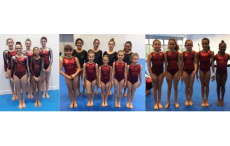 GAF : Bilan Championnat départemental équipes - Blagnac - 23 et 24 mars 2019