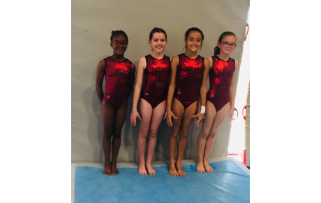GAM : Bilan Championnat Interdépartemental Sud - Blagnac - 23 et 24 mars 2019