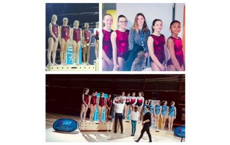 GAF : Bilan du 1er Challenge départemental - 25 janvier 2020 -  Colomiers