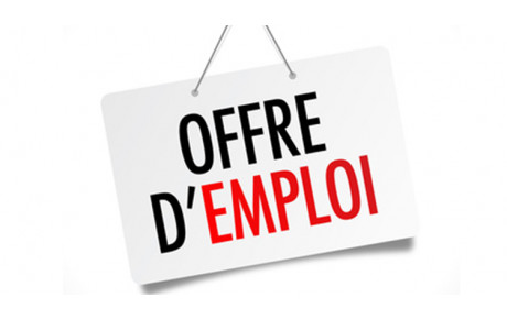 Offre d'emploi Entraîneur Gymnastique Rythmique