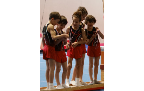 Compte rendu GAM du Championnat Départemental GAM GAF du 13 février 2022 - Toulouse