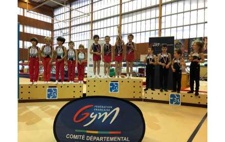 GAM : Bilan du Championnat départemental Individuels et Poussins équipes Gymnastique Artistique Masculine - Colomiers - 3 et 4 décembre 2022