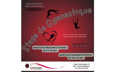 Stage de Gymnastique loisirs