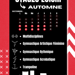 Stages loisir d'automne 2026